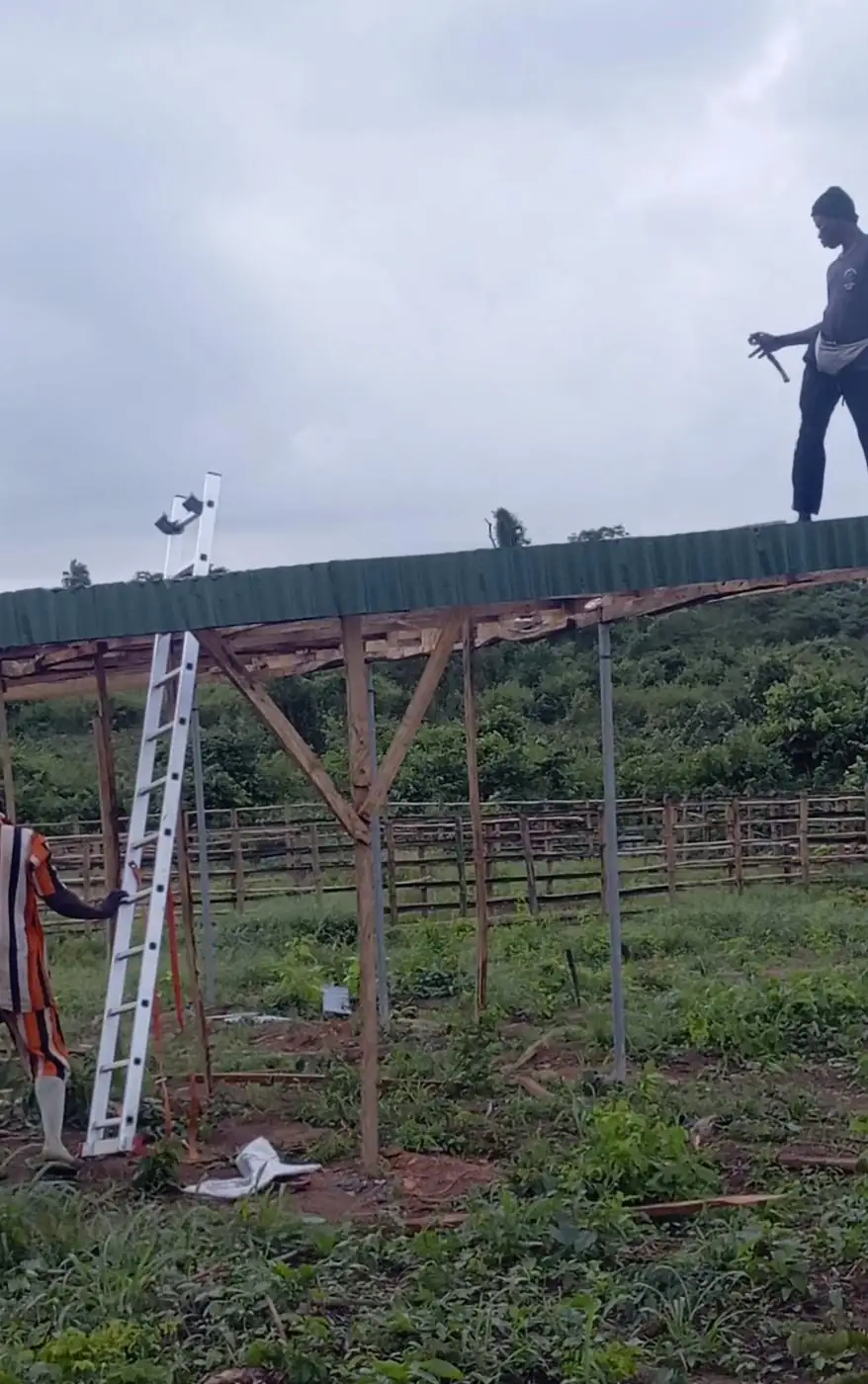 Roof framing going up on the farm structure