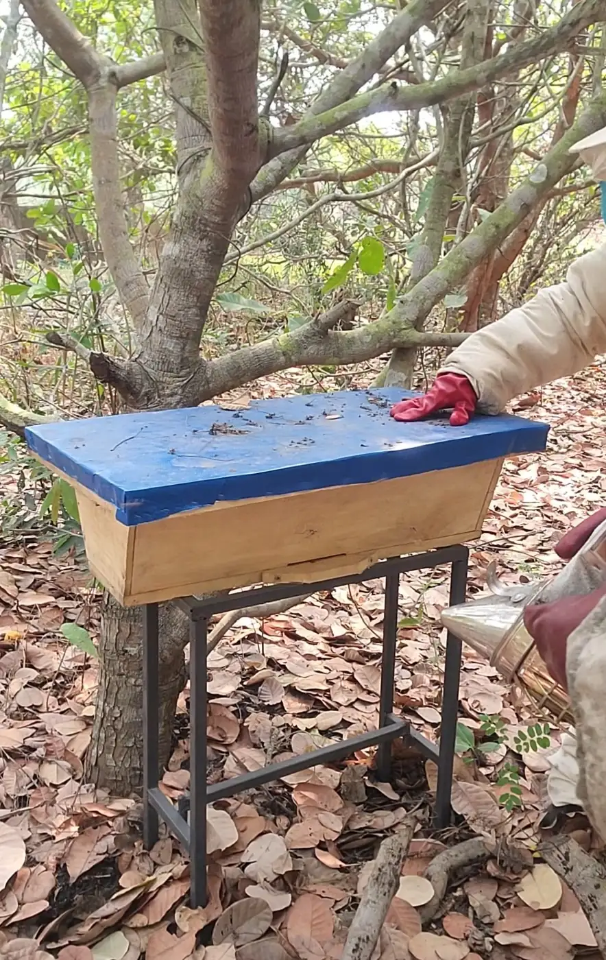 Hive with a blue lid on a metal stand under the trees